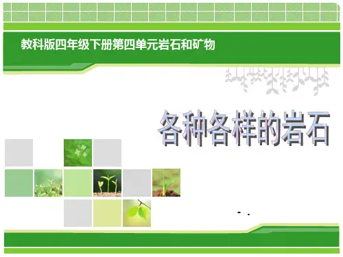 《各种各样的岩石》岩石和矿物PPT课件2