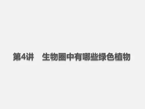 中考生物基础知识复习：第三单元生物圈中的绿色植物第4讲生物圈中有哪些绿色植物课件