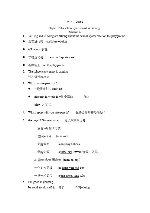 +Unit+1+Topic+3+讲义 仁爱版八年级英语上册