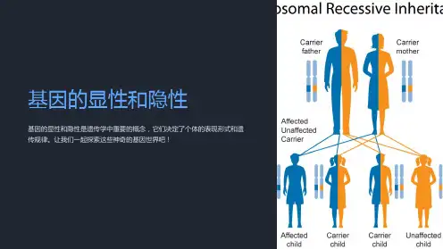 基因的显性和隐性