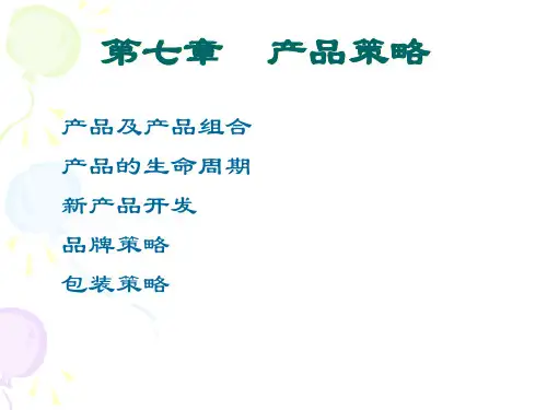 产品策略课件(PPT 89页)