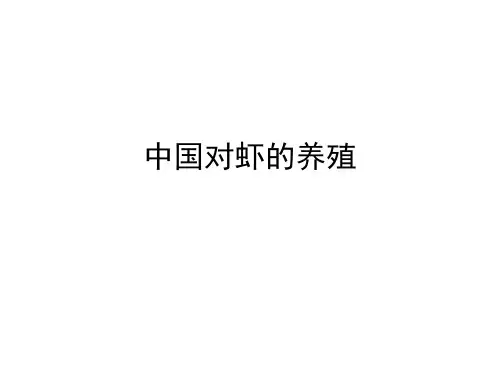中国对虾的养殖
