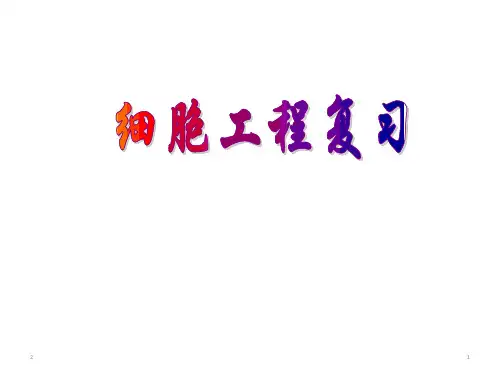 高中生物 人教版 选修3 专题2 细胞工程复习.PPT(共31张PPT)