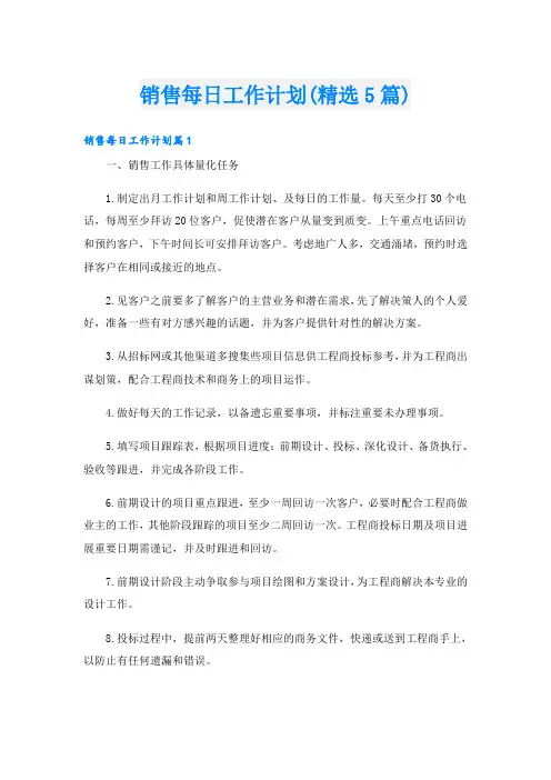 销售每日工作计划(精选5篇)