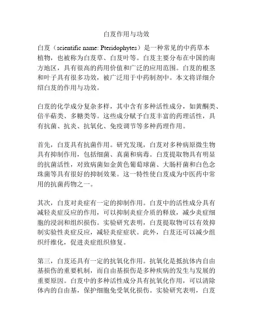 白芨作用与功效