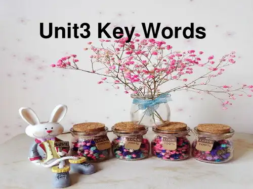 选修六unit3words