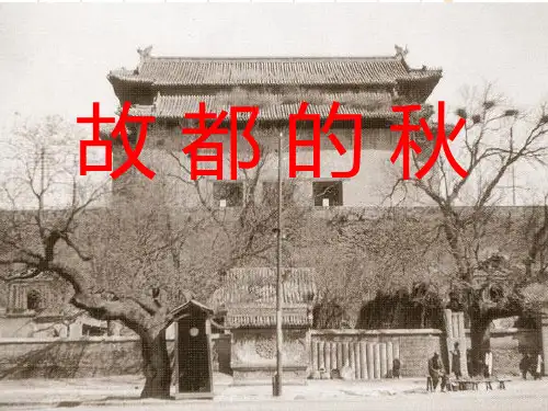 (新教材)-14《故都的秋》PPT课件2020年秋高一语文部编版(2019)必修上册_优