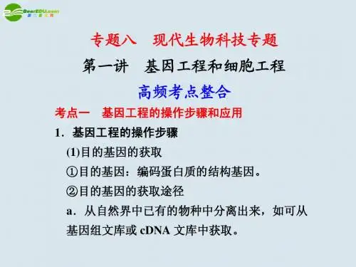 高考生物二轮复习 第一讲 基因工程和细胞工程课件 新人教版