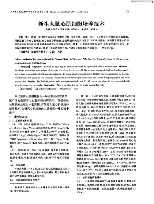 新生大鼠心肌细胞培养技术
