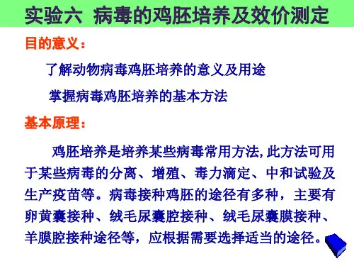 病毒的鸡胚培养及效价测定