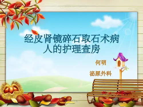 经皮肾镜碎石取石术病人的护理查房