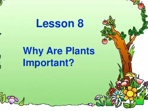 冀教版八年级下册lesson8课课件