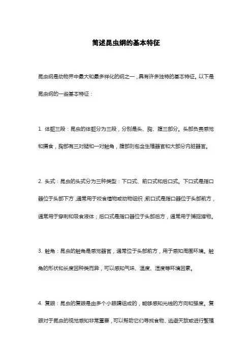 简述昆虫纲的基本特征