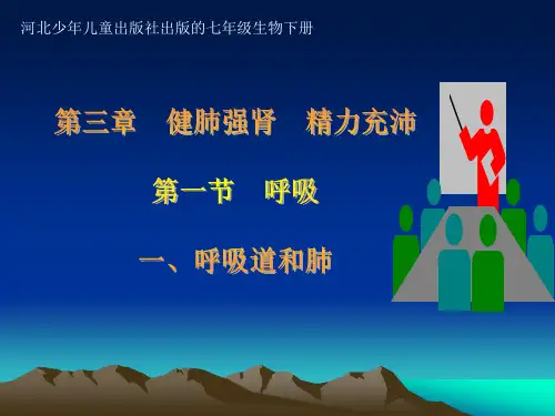 冀少版生物七下2.3.1《呼吸-呼吸道和肺》 课件(共23张PPT)