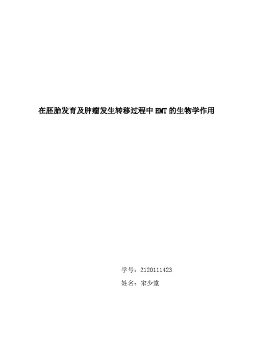 在胚胎发育及肿瘤发生转移过程中EMT的生物学作用