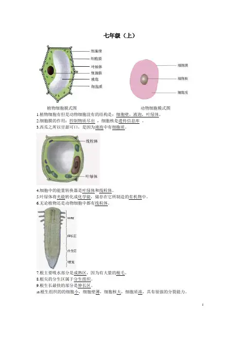(完整)初中生物识图题全面解析(超全面)
