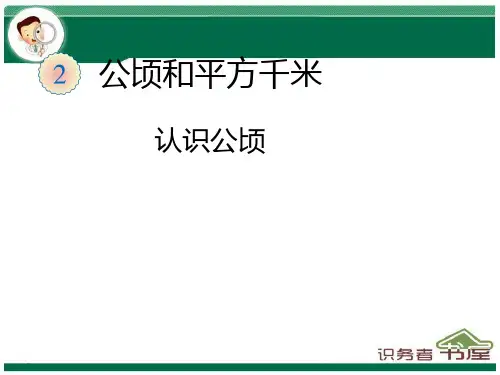新人教版数学四年级上册-认识公顷1