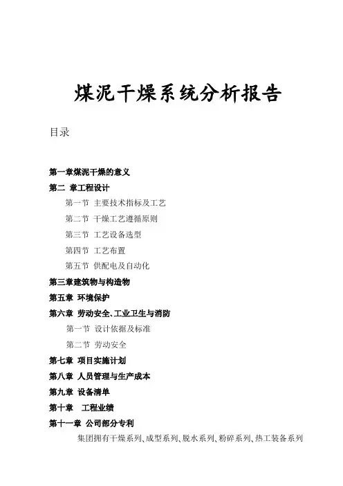 煤泥烘干可行性方案