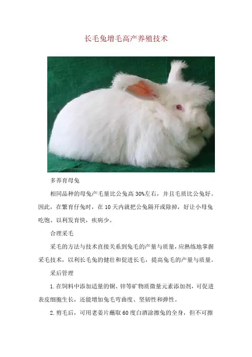 长毛兔增毛高产养殖技术
