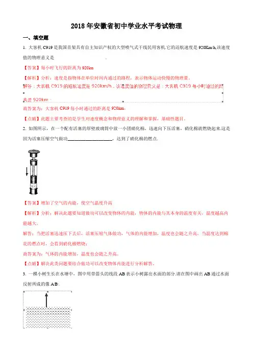 2018年安徽省中考物理真题试题含答案解析