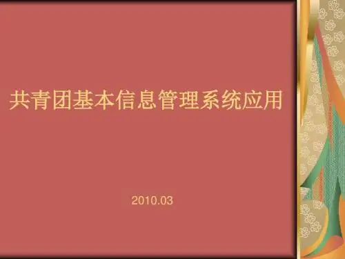共青团基本信息管理系统应用(精)