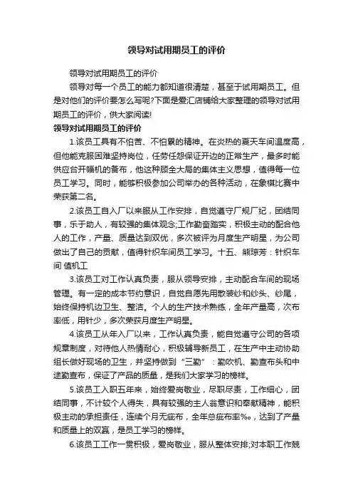 领导对试用期员工的评价