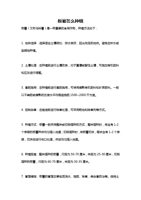 板薯怎么种植