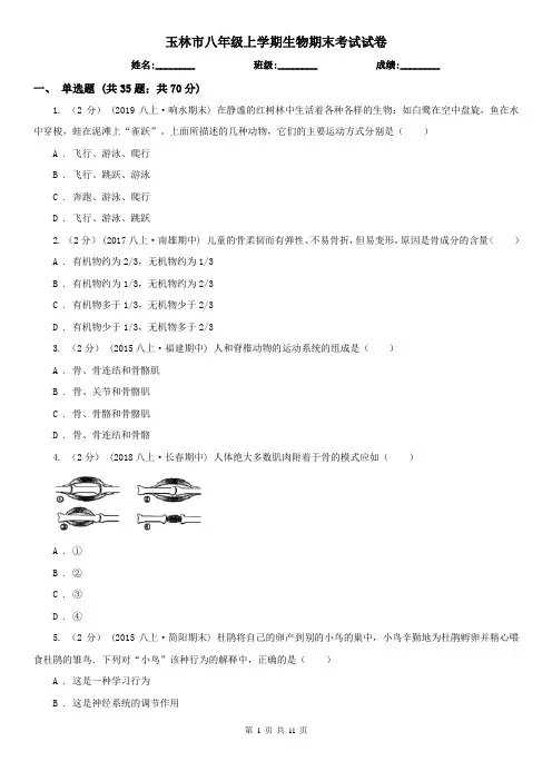 玉林市八年级上学期生物期末考试试卷 (考试)