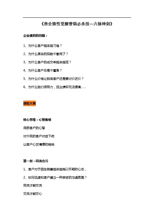 王一禅《房企狼性觉醒营销必杀技—六脉神剑》