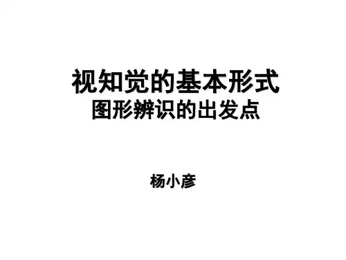 视知觉的基本形式