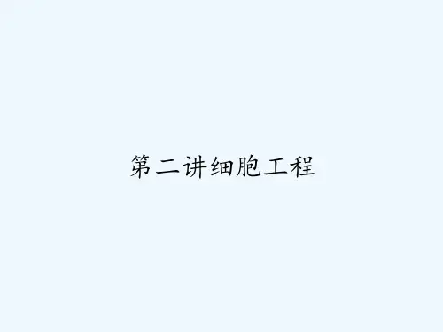 第二讲细胞工程-PPT