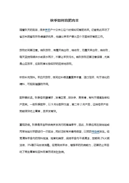 秋季如何育肥肉羊