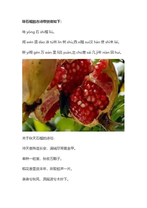 咏石榴的古诗带拼音