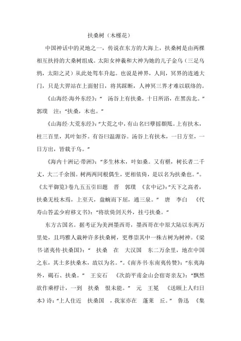 扶桑树(木槿花)