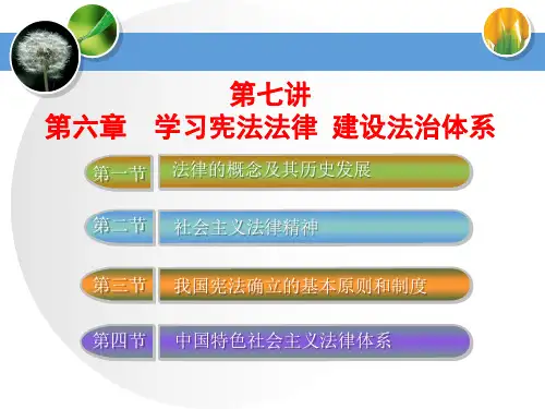 第九讲_法律的概念及其历史发展_社会主义法律精神