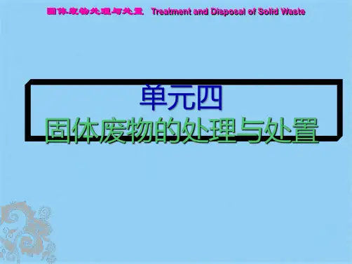 固废综合处理技术(共72张PPT)