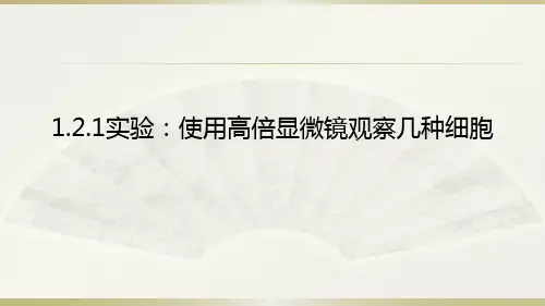 人教版高一生物必修一1.2实验：使用高倍显微镜观察几种细胞课件(共34张ppt) (共34张PPT)