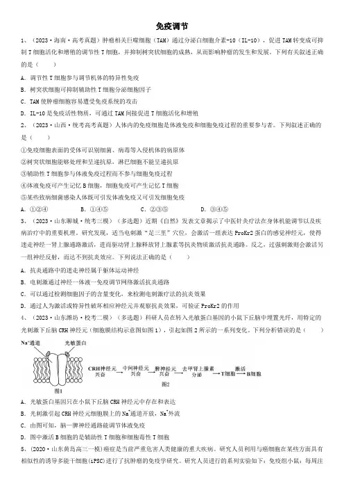 备考2024年高考生物一轮复习知识点精炼专题26 免疫调节(精练)含详解