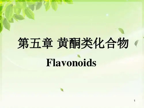 天然药物化学 第五章 黄酮类化合物