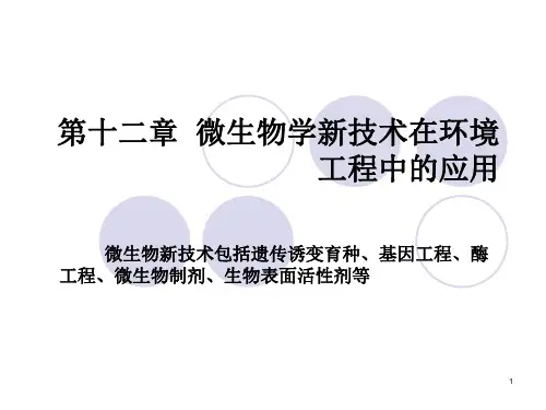 第十二章  微生物学新技术在环境工程中的应用123PPT课件