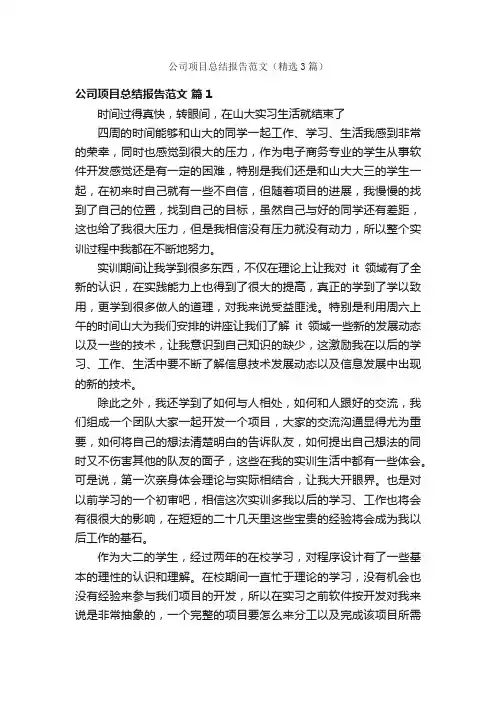 公司项目总结报告范文（精选3篇）
