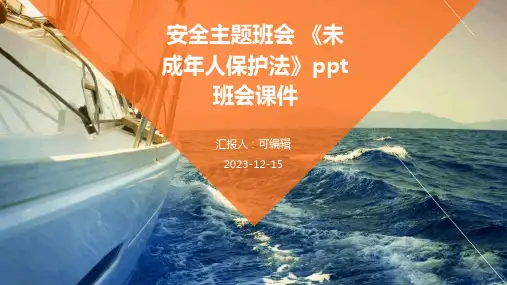 安全主题班会 《未成年人保护法》PPT班会课件