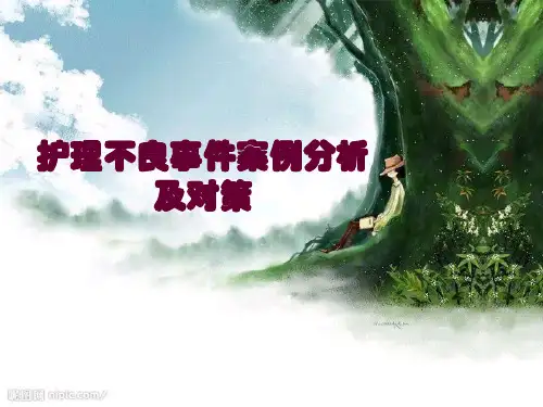 护理不良事件案例分析PPT课件