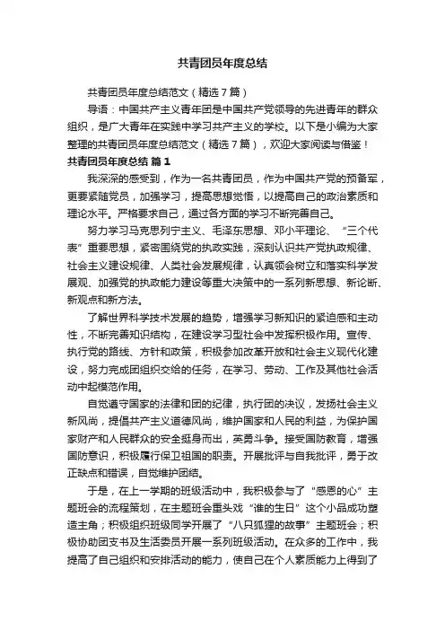 共青团员年度总结范文（精选7篇）