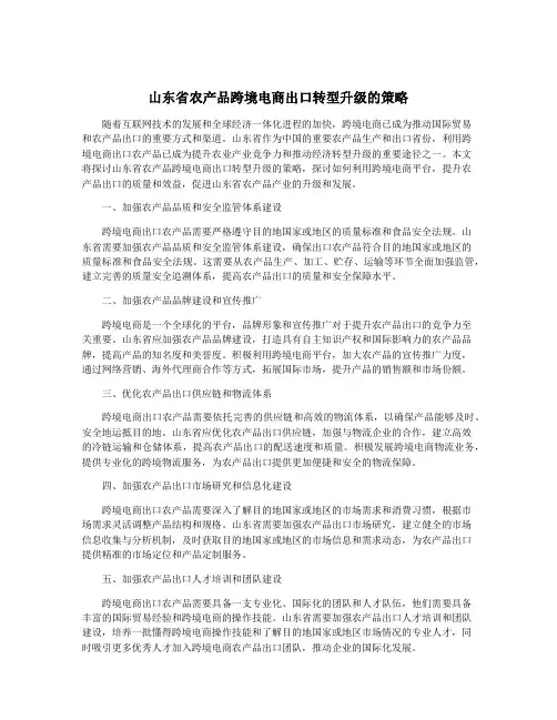 山东省农产品跨境电商出口转型升级的策略