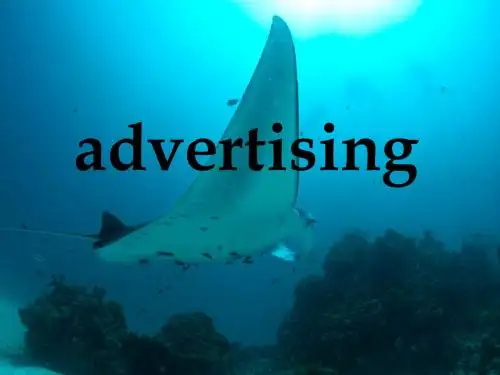 商务英语之advertising