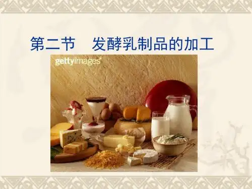 第二节发酵乳制品PPT课件