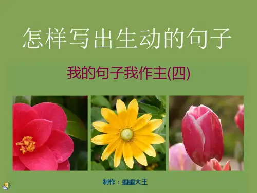怎么写出生动的句子