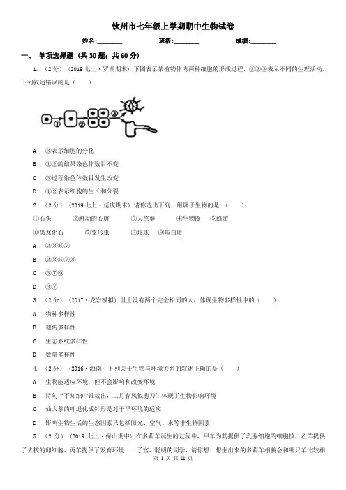 钦州市七年级上学期期中生物试卷 (考试)
