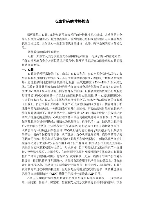 心血管体格检查